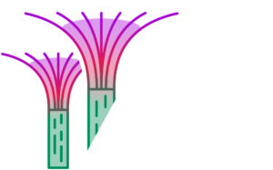 AAAI logo